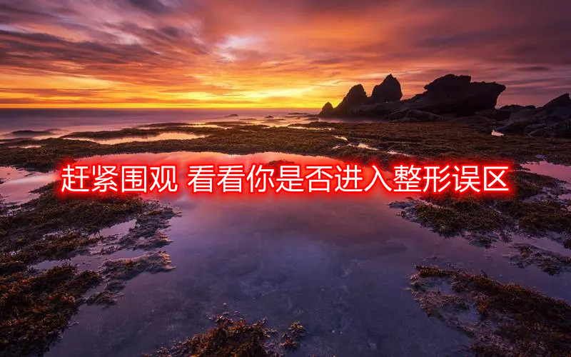 �s�o���^,�������Ƿ��M�������`�^(q��)