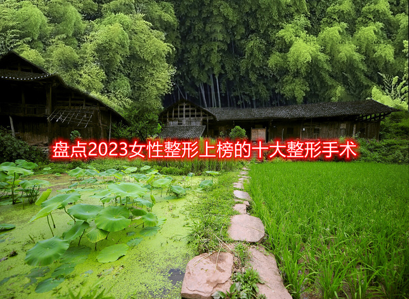 �P�c(di��n)2023Ů�������ϰ��ʮ���������g(sh��)