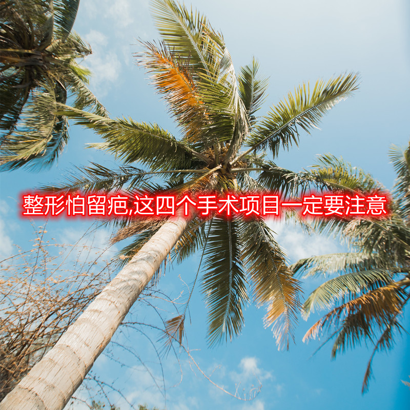 ����������,�@�Ă�(g��)���g(sh��)�(xi��ng)Ŀһ��Ҫע��