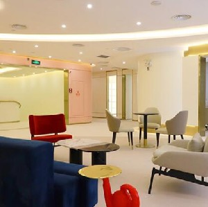 �V�ݿ����t(y��)�������T�\����d