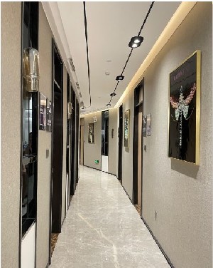 ��������t(y��)�������t(y��)Ժ����