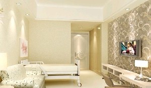 ��������t(y��)�������t(y��)Ժ����