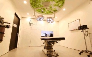 ���ݖ|��Ů���t(y��)Ժ�t(y��)�����ݿ����g(sh��)��